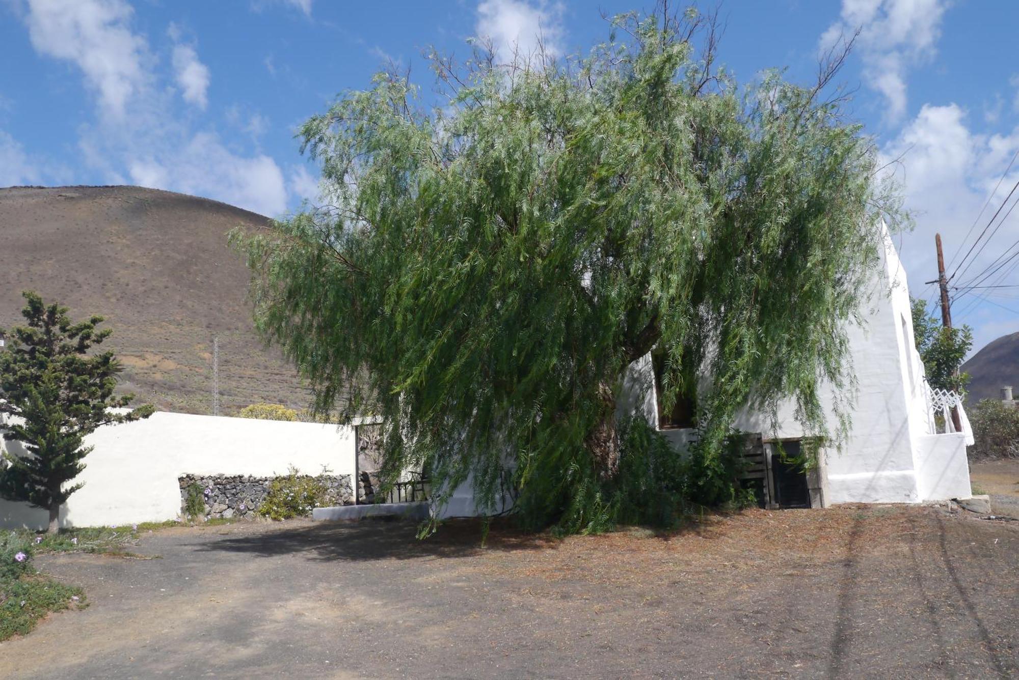 Casa Olga Villa Máguez Exteriör bild