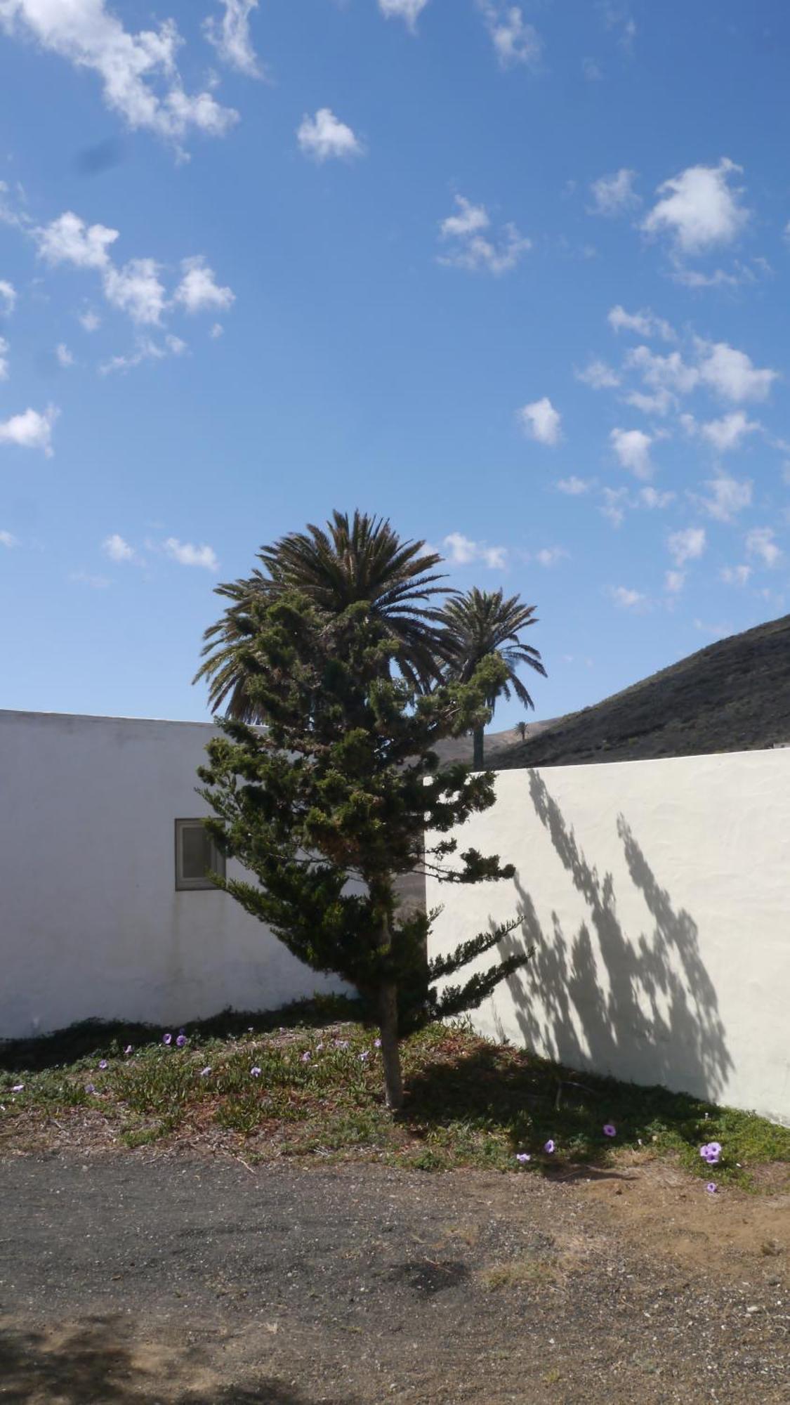 Casa Olga Villa Máguez Exteriör bild